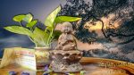 Xông Trầm Chú Tiểu Gốm Tử Sa - Ảnh 3